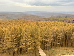 -塞罕坝国家级自然保护区