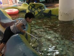 捞小鱼-绍兴梦享海洋公园