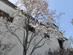 -惠山古镇·寄畅园