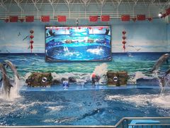 -多彩贵州城极地海洋世界