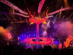 -拉斯维加斯永利酒店