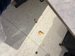 -争先鲜·蒸汽海鲜自助·鲜切牛肉