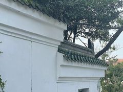 -青岛海滨风景区小鱼山