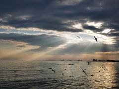 -老虎石海上公园