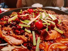 -老板恋上鱼(振华商厦店)
