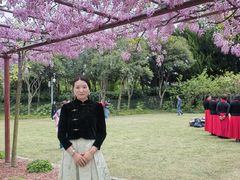 -嘉定紫藤园