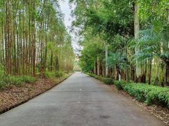-三娘湾旅游风景区