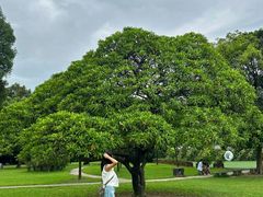 -华南国家植物园-售票处