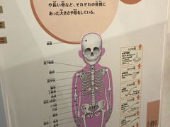 -大阪儿童乐园