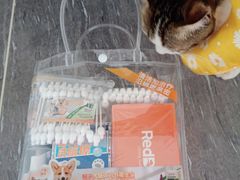 -乐琪宠物医院·犬猫专科·骨外科·急重症