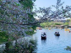 -上海共青森林公园