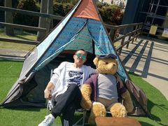 -济州岛泰迪熊博物馆