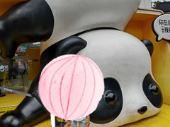 -成都金河宾馆(宽窄巷子店)