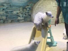 -华夏文旅海洋公园