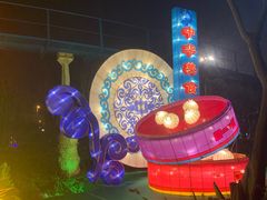 -锦江乐园舞狸花花游园会(夜场专享)