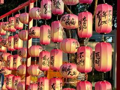 -欢乐海岸椰林沙滩-2025湾区超级灯会