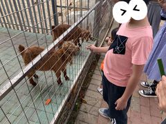-迪茵湖田家舍生态农场