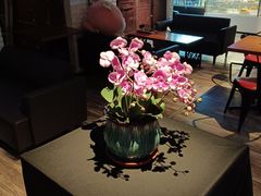 -JINNS锦时 steak&pizza(浸信会礼拜堂旧址店)