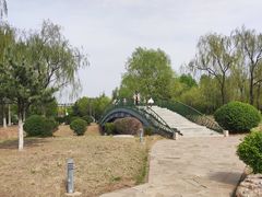 -莫子山公园