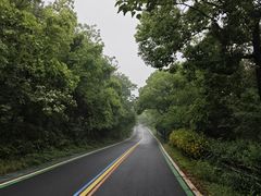 -宝界山林公园