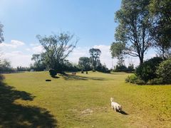 -上海崇明金茂凯悦酒店