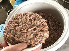 禾虫-润记农家菜