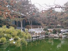 -中国唐苑