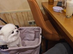 -恩你小木屋·烤肉韩式料理(嘉兴秀洲店)