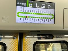 -涩谷全向十字路口