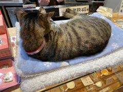 -猫的天空之城概念书店(杭州南宋御街店)