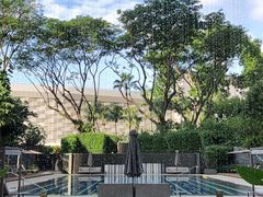 -新加坡丽思卡尔顿美年酒店