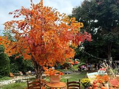 -HERRE·FARM 赫尔露营农场·团建聚会包场