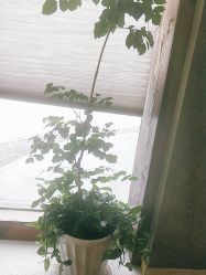 -香秀空间科技抗衰·美容中心