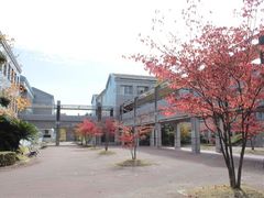 -学习谷日语培训日本留学·多语种外语教学(西单宣武分部)