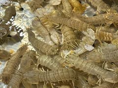 -良友·海鲜青岛菜(五四广场店)