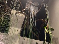 -春天来了(印象新天地店)