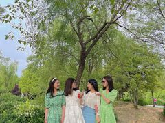 -蜀冈西峰生态公园