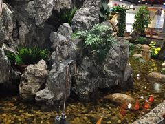 -丰圆轩粤式茶楼 . 点心粤菜(夏茅店)