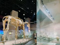 -武汉园博园(武汉自然博物馆)