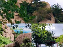 -六里坪国家森林公园
