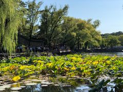 -承德避暑山庄景区