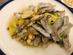 蛏子-海蓝海鲜馆(五四北店)