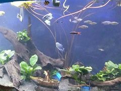 -沙沙哗啦海洋馆(华宇百花谷店)