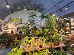 -自由生长植物工作室(深港花卉中心店)