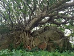 -宋井风景区