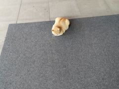 -大连理工大学(凌水校区)