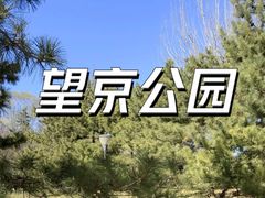 -大望京公园