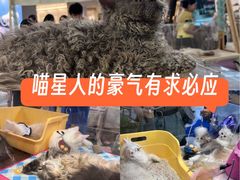 -杭州来福士中心