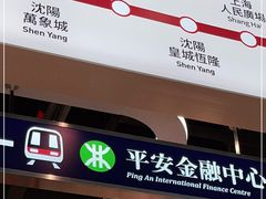 -敏华冰厅(平安金融中心店)