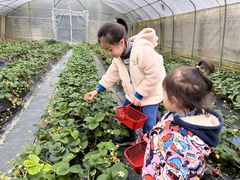 -洪湖家庭农场·团建·露营·会议